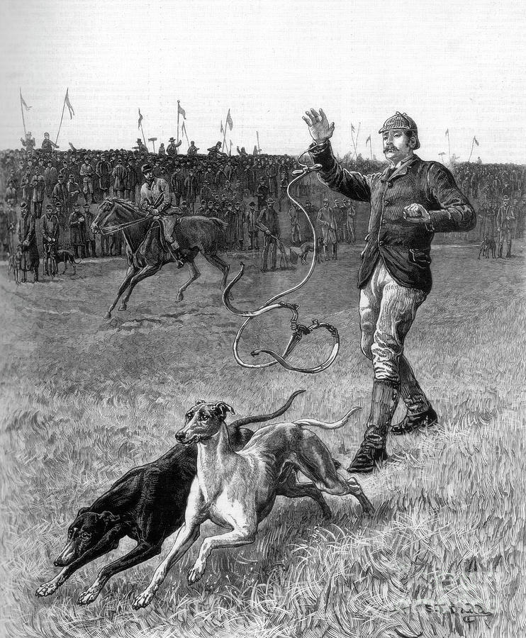 Coursing Slipping The Greyhounds, 1887 Drawing by Print Collector