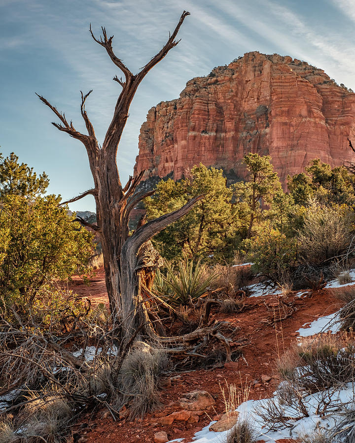 Courthouse Butte Photograph by Joseph Smith