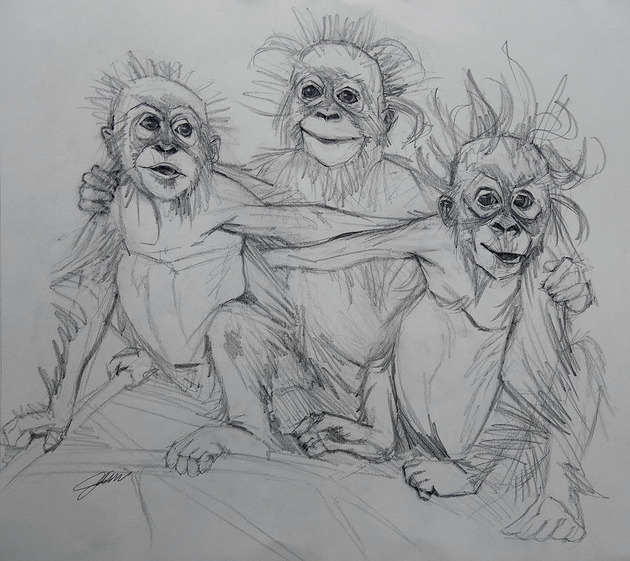 Cousins Sketch by Jani Freimann Cousins Sketch by Jani Freimann