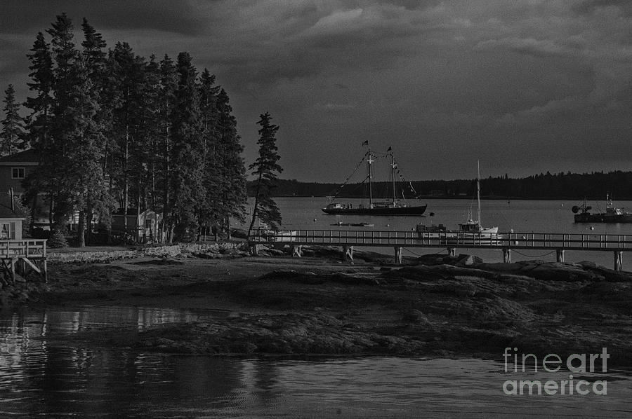 Cove in Black and White by Ruth H Curtis Cove in Black and White by Ruth H Curtis