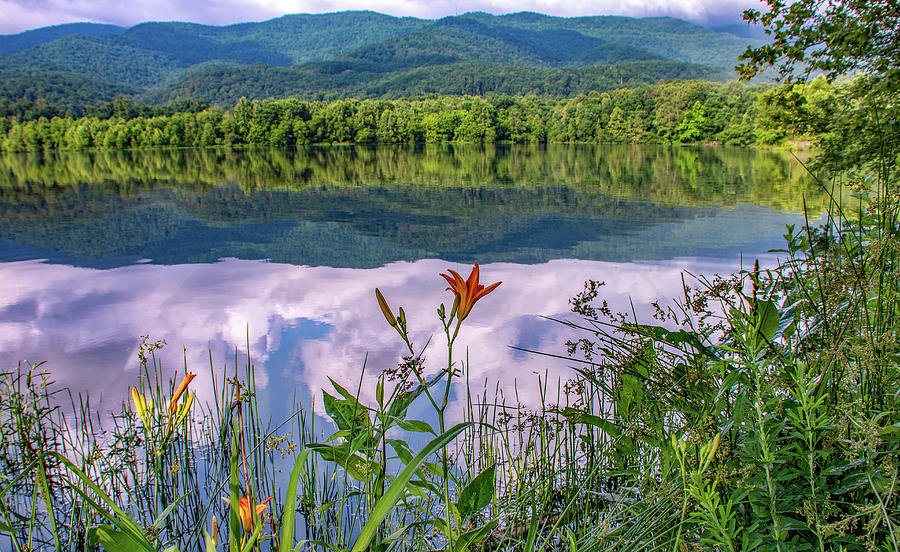Cove Lake Reflections  Photograph by Marcy Wielfaert