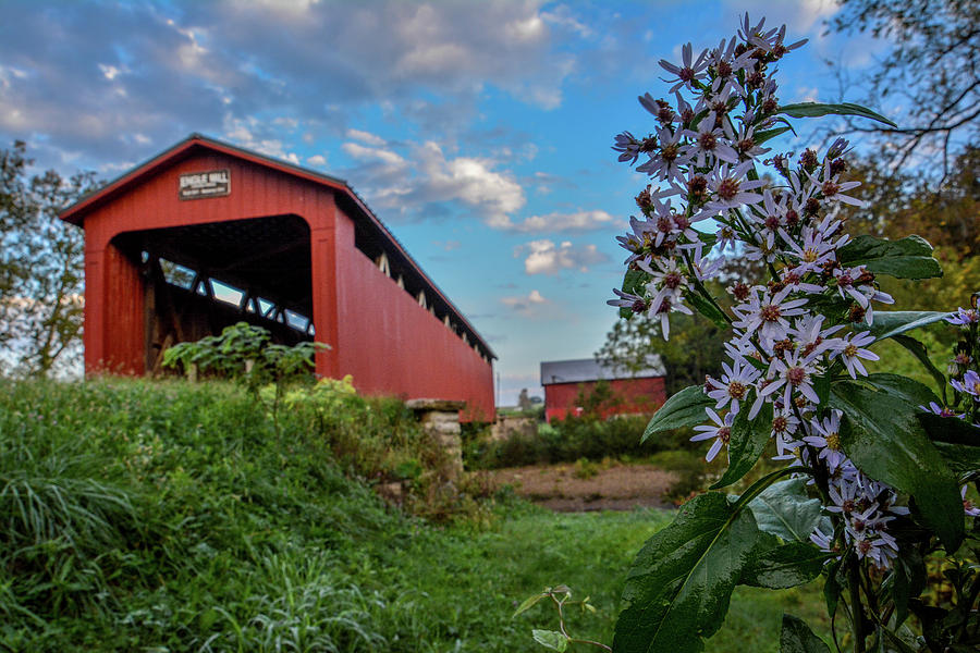 Covered bridge and barn Photograph by Randall Branham