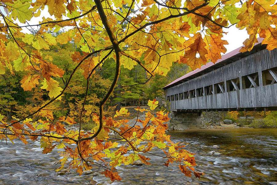 Covered Bridge, Fall, New Hampshire Digital Art by Heeb Photos