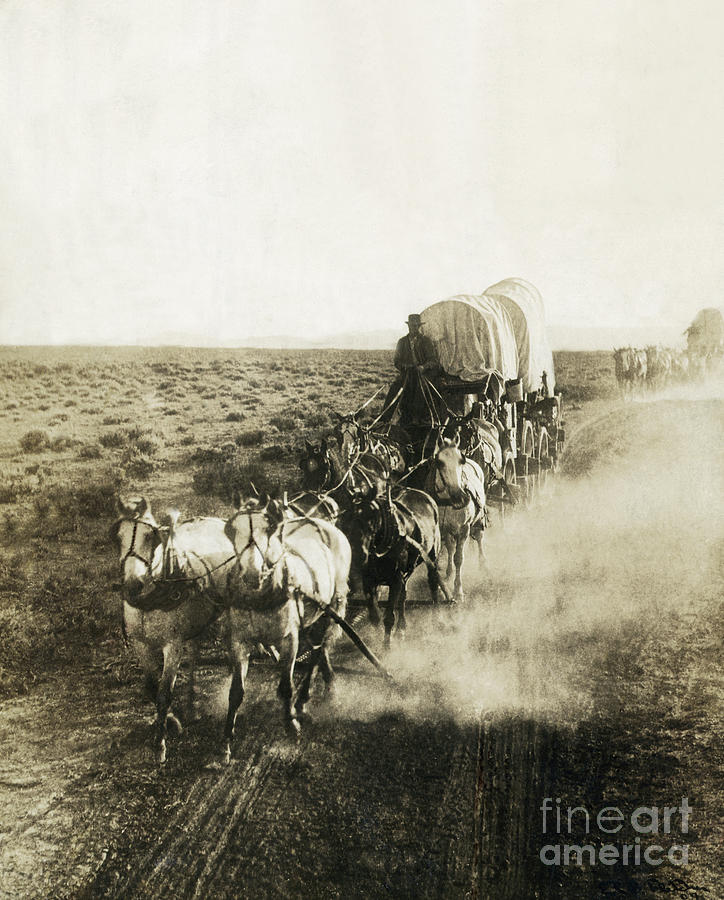 Covered Wagons On The Plains Going West Photograph By Bettmann Fine Art America