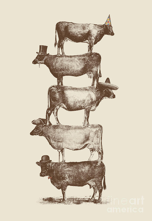 Cow Cow Nuts Mixed Media by Florent Bodart