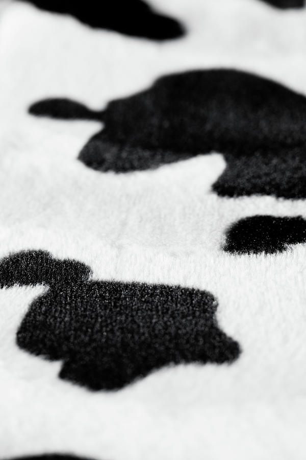 Cow Fur Fabric Detail Photograph by Photovideostock