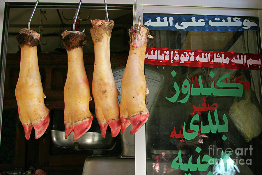Cow Hooves Photograph by Science Photo Library - Fine Art America