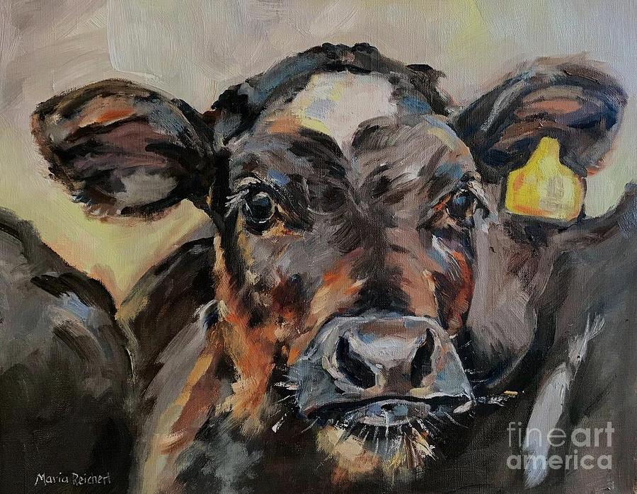 Cow Painting - Cow In Oil Paint by Maria Reichert