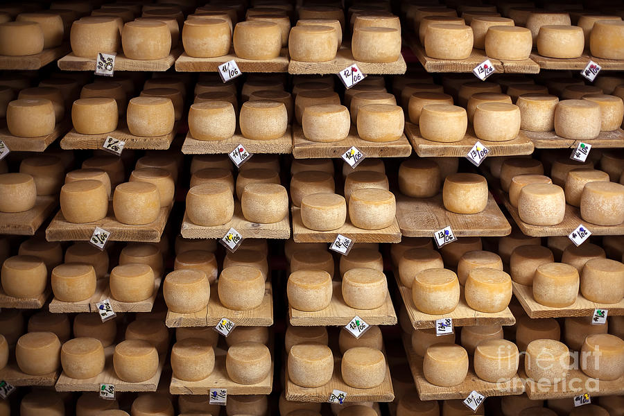 Date Photograph - Cow Milk Cheese, Stored In A Wooden by Maxim Golubchikov Date Photograph - Cow Milk Cheese, Stored In A Wooden by Maxim Golubchikov