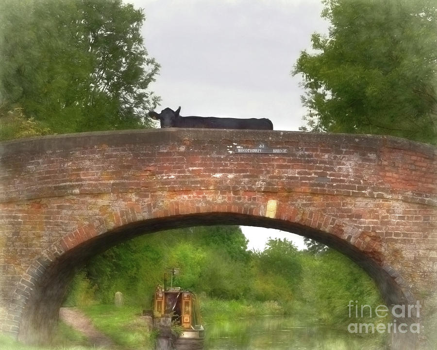 Cow on a Bridge over the Grand Union Canal Mixed Media by Linsey Williams