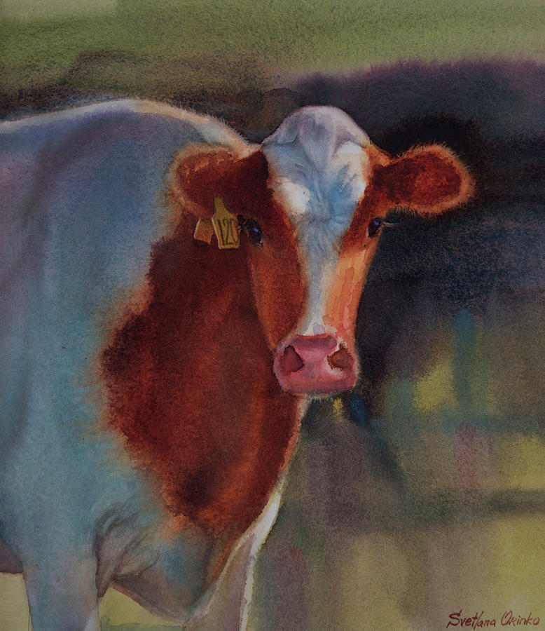 Cow Painting - Cow by Svetlana Orinko