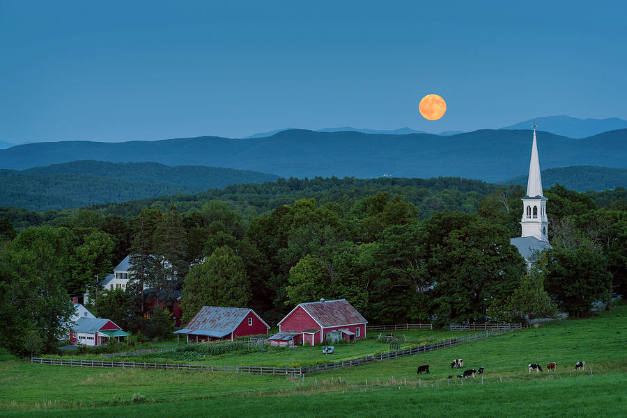Barn Photograph - Cow Under The Moon by Michael Blanchette Photography