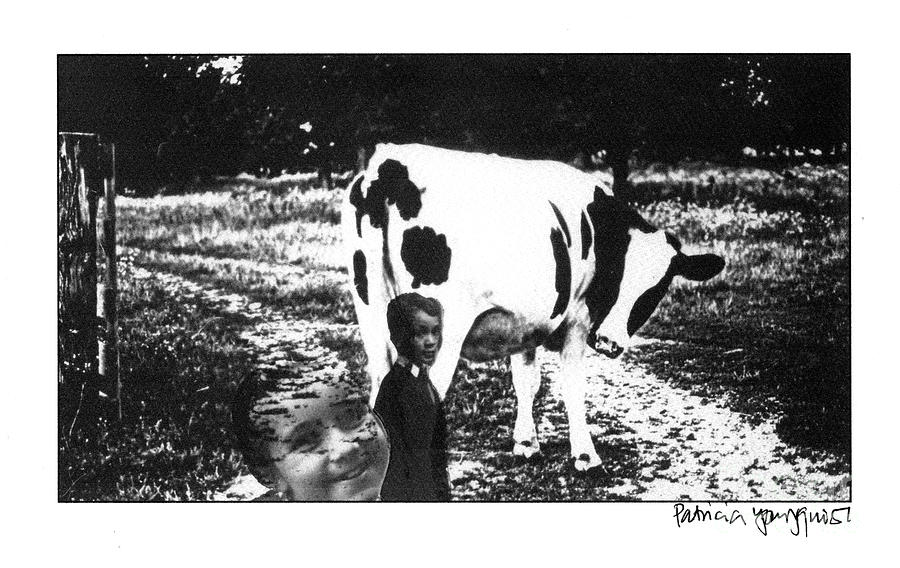 Cow with Children Photograph by Patricia Youngquist