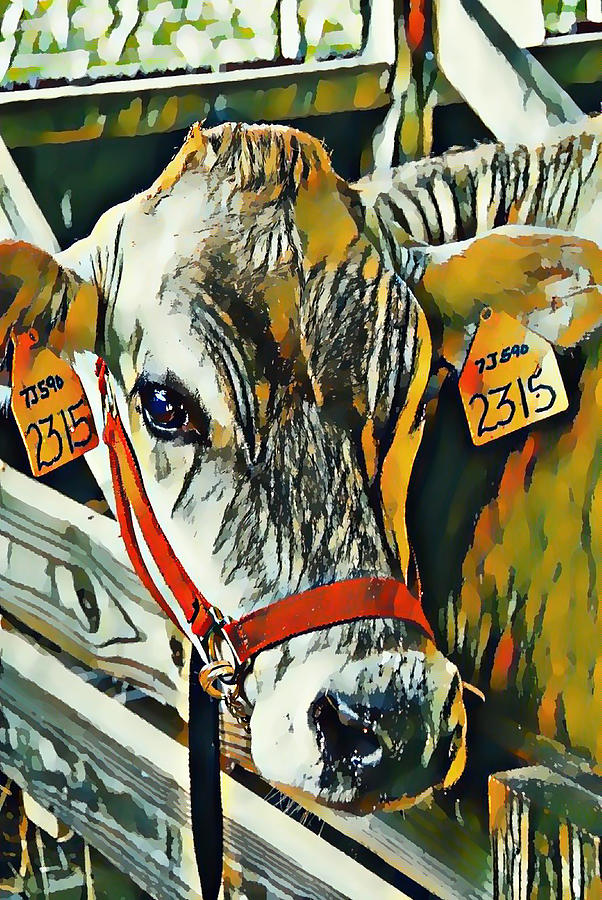 Cow with yellow ear tag Painting by Jeelan Clark