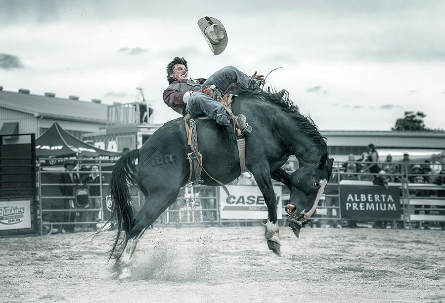 Daredevil Photograph - Cowboy In Action by Larry Deng