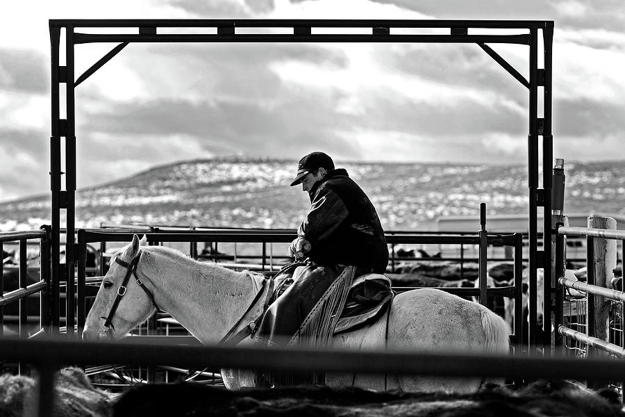 Cowboy on his horse  Photograph by Julieta Belmont