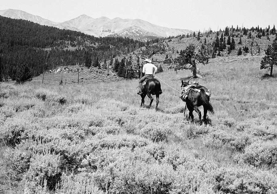 Cowboy Riding Horse, With Second Hold Photograph by George Marks