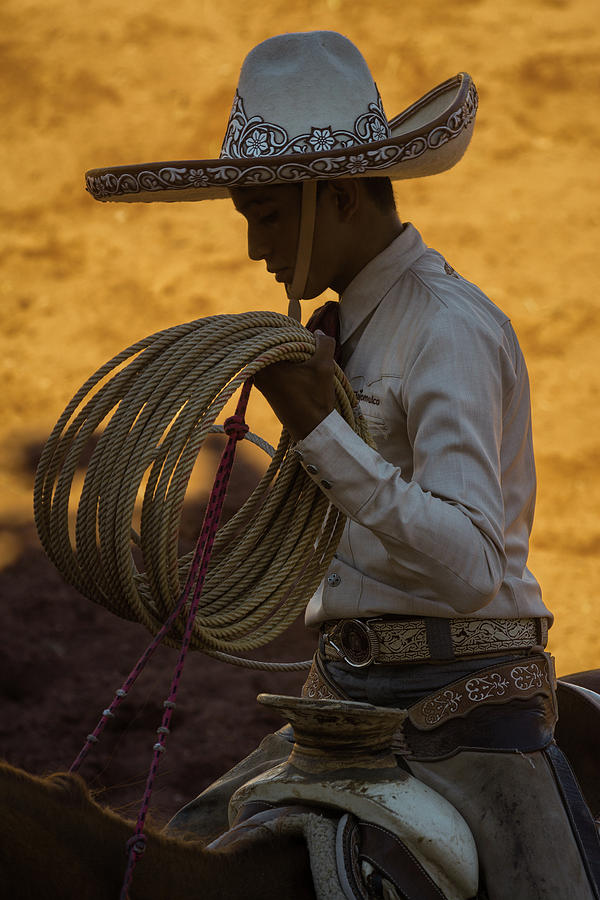 Download Cowboy Silhouette Photograph by Dane Strom