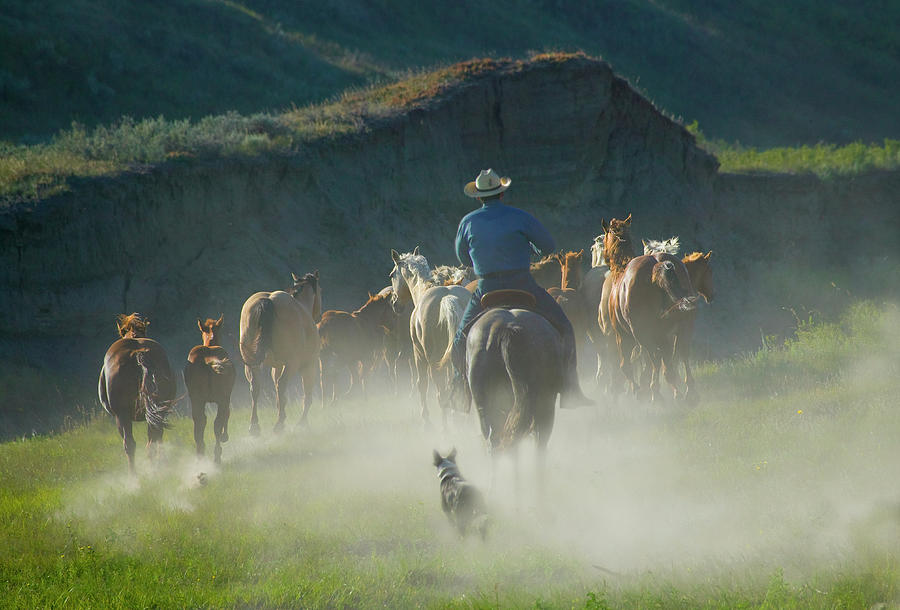 Cowboy With Horses And Dog On The Ranch Photograph by Keren Su Cowboy With Horses And Dog On The Ranch Photograph by Keren Su