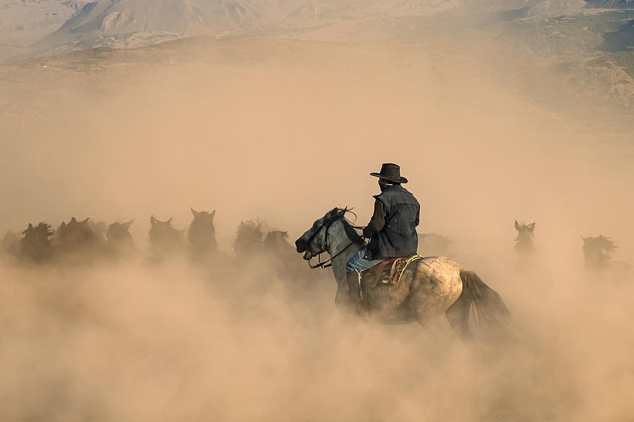 Cowboy Photograph by Zhd Bilgin