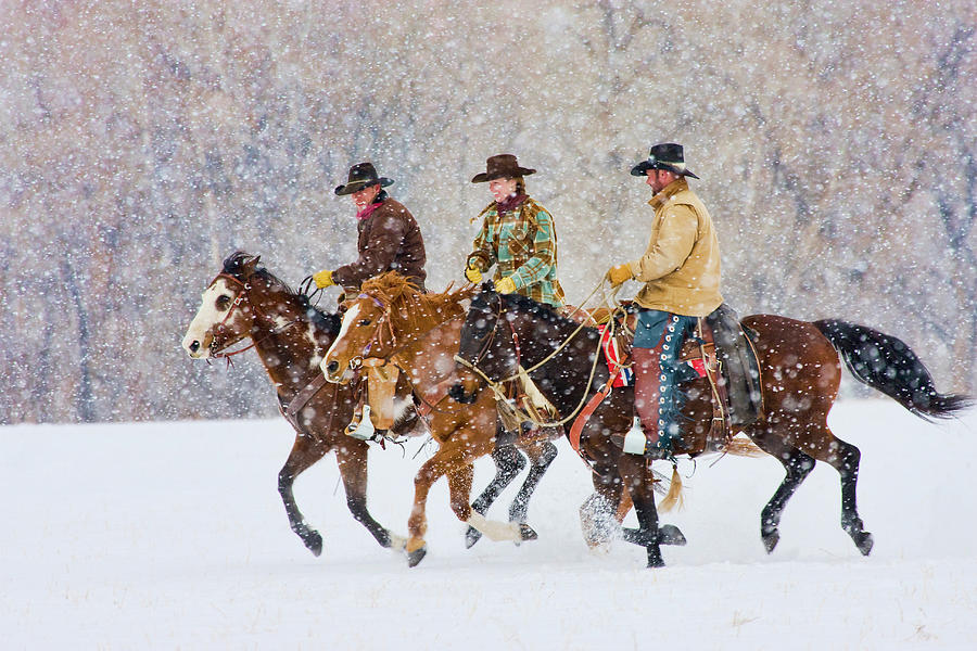 Cowboys And Cowgirl Riding Snowfall Photograph by Danita Delimont Cowboys And Cowgirl Riding Snowfall Photograph by Danita Delimont