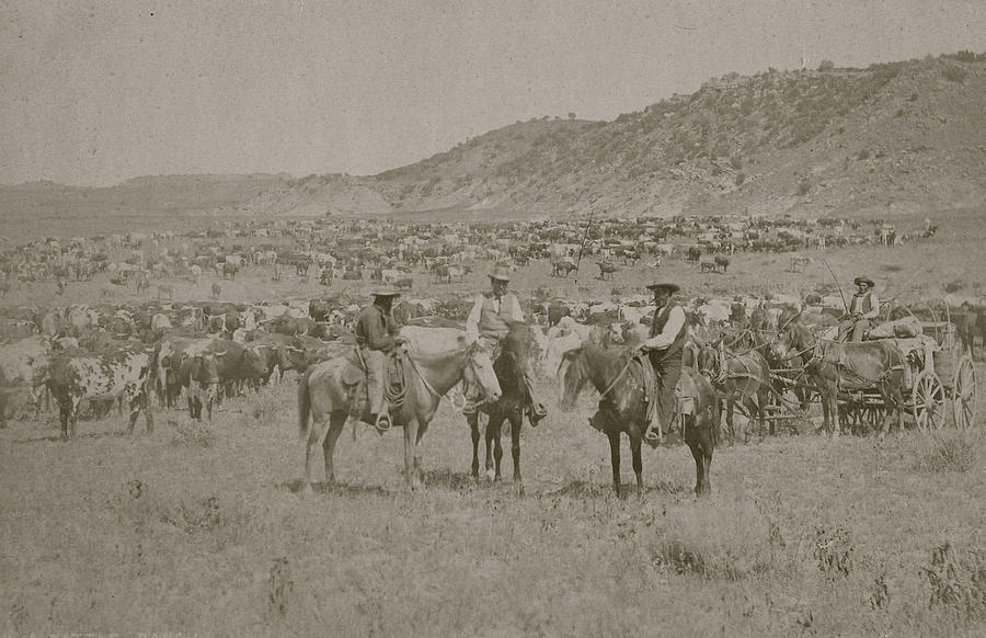 Denver Painting - Cowboys Herding Cattle by R.M. Davis