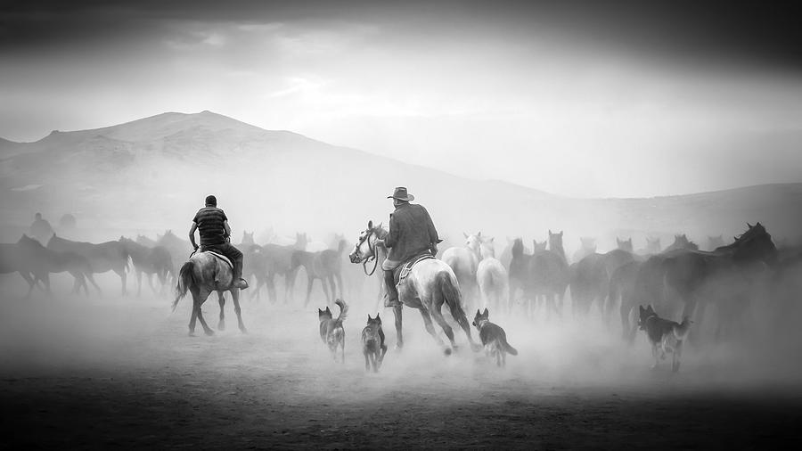 Dog Photograph - Cowboys by Zhd Bilgin