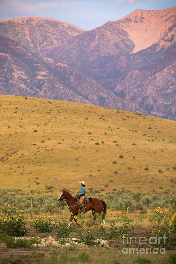 Cowgirl Riding In Utah Photograph