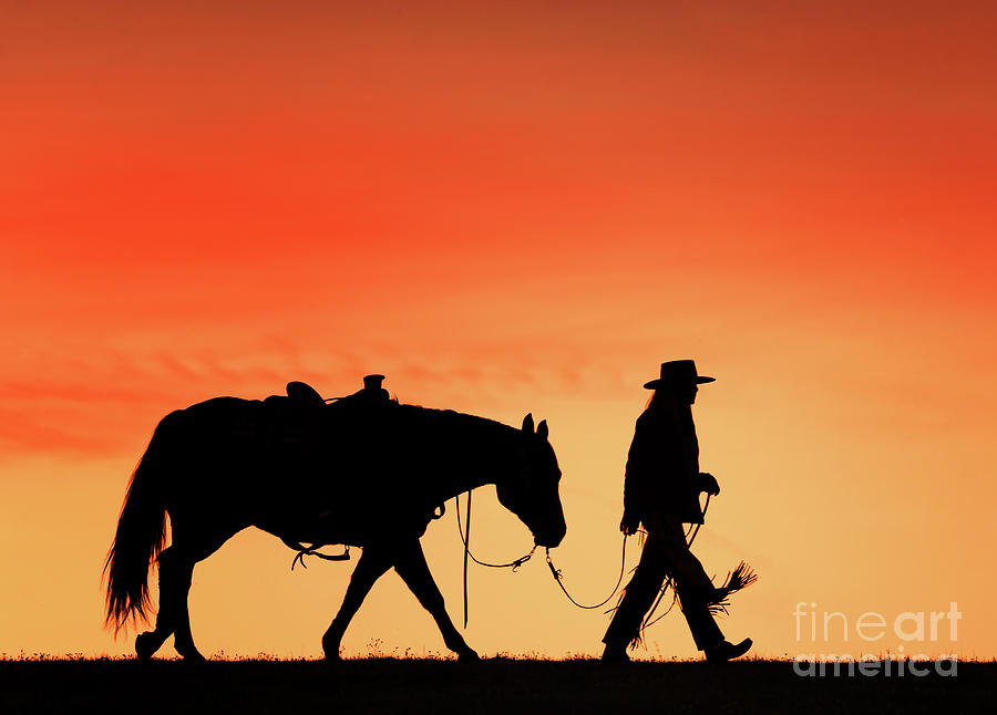 Cowgirl Walking Her Horse In Silhouette Photograph by Vicki Jauron, Babylon And Beyond Photography