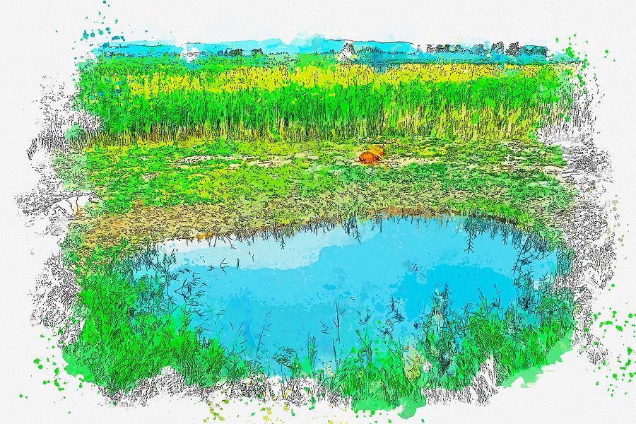 Cows around Swamp  and Reeds watercolor by Ahmet Asar Painting by Celestial Images