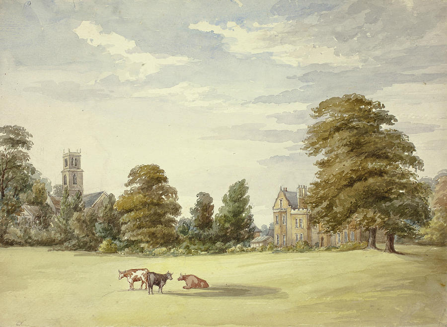 Cows before Manor House and Church Drawing by Elizabeth Murray