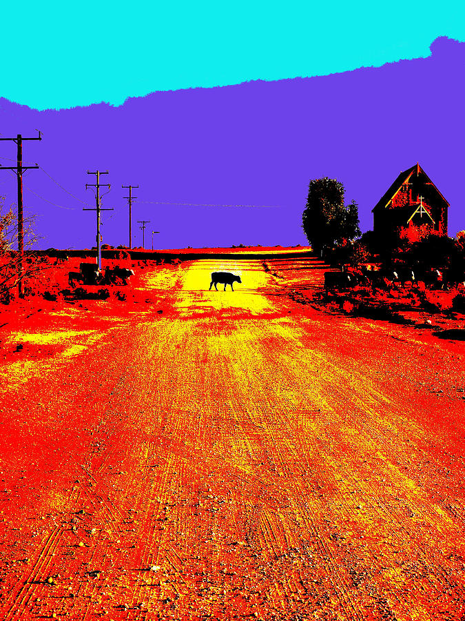 Cows Crossing in the Outback Photograph by Lexa Harpell