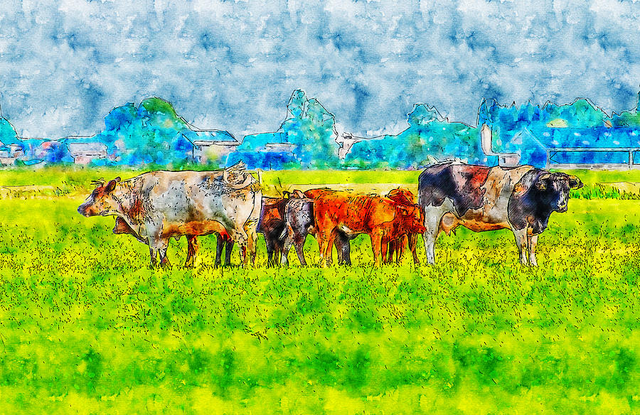 Cows Pasture watercolor drawing by Hasan Ahmed Cows Pasture watercolor drawing by Hasan Ahmed