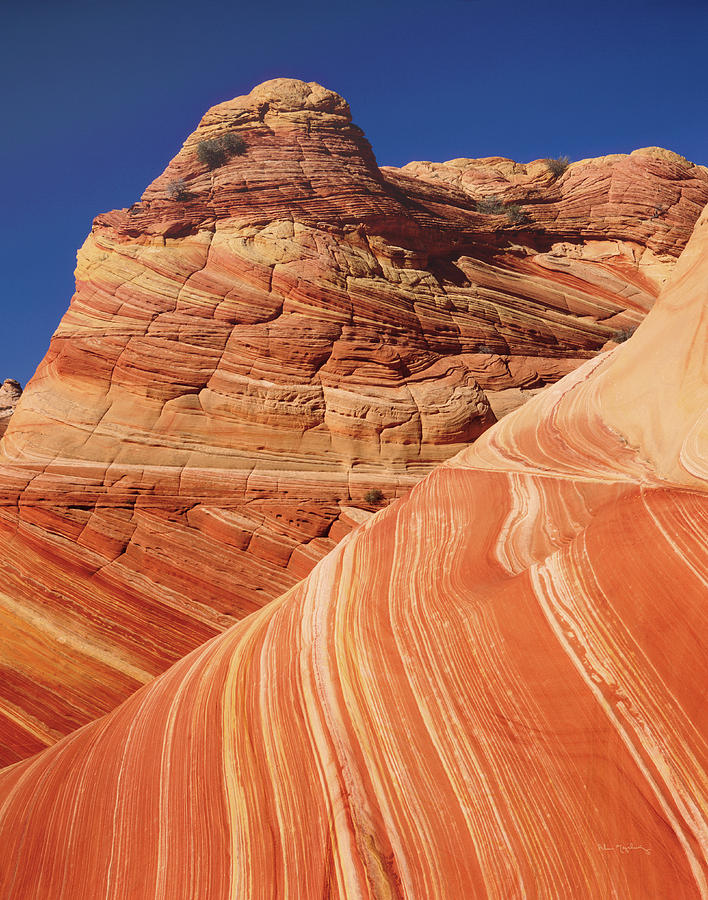 Desert Photograph - Coyote Buttes I by Alan Majchrowicz
