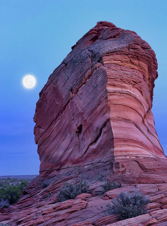 Coyote Buttes Moonrise Photograph by Leland D Howard