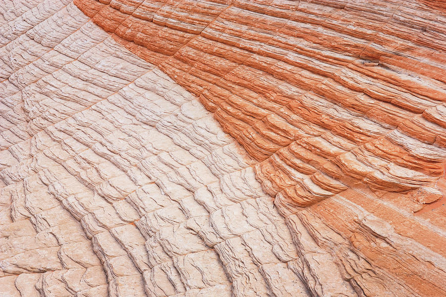 Desert Photograph - Coyote Buttes Vi by Alan Majchrowicz