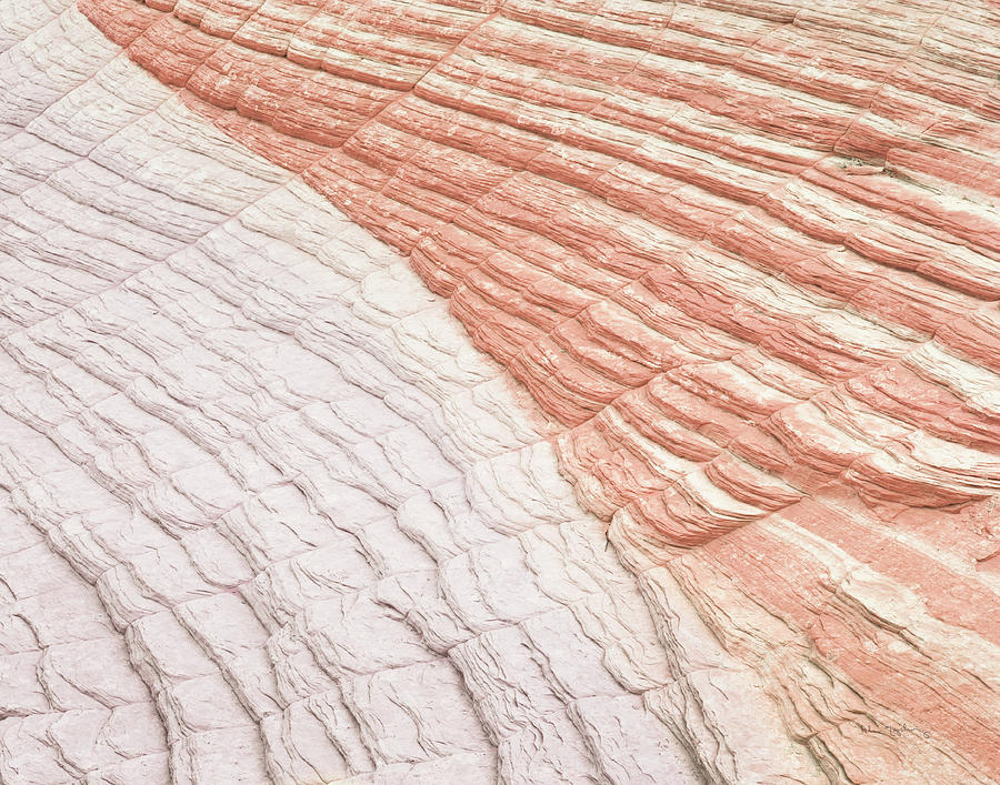 Abstract Photograph - Coyote Buttes Vi Blush Orange Crop by Alan Majchrowicz