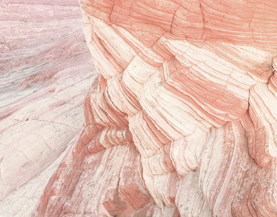 Abstract Photograph - Coyote Buttes Vii Blush Orange Crop by Alan Majchrowicz
