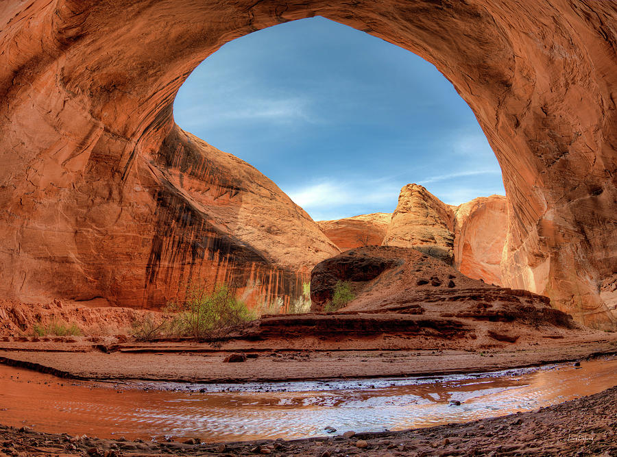 Nature Photograph - Coyote Gulch Alcove by Leland D Howard
