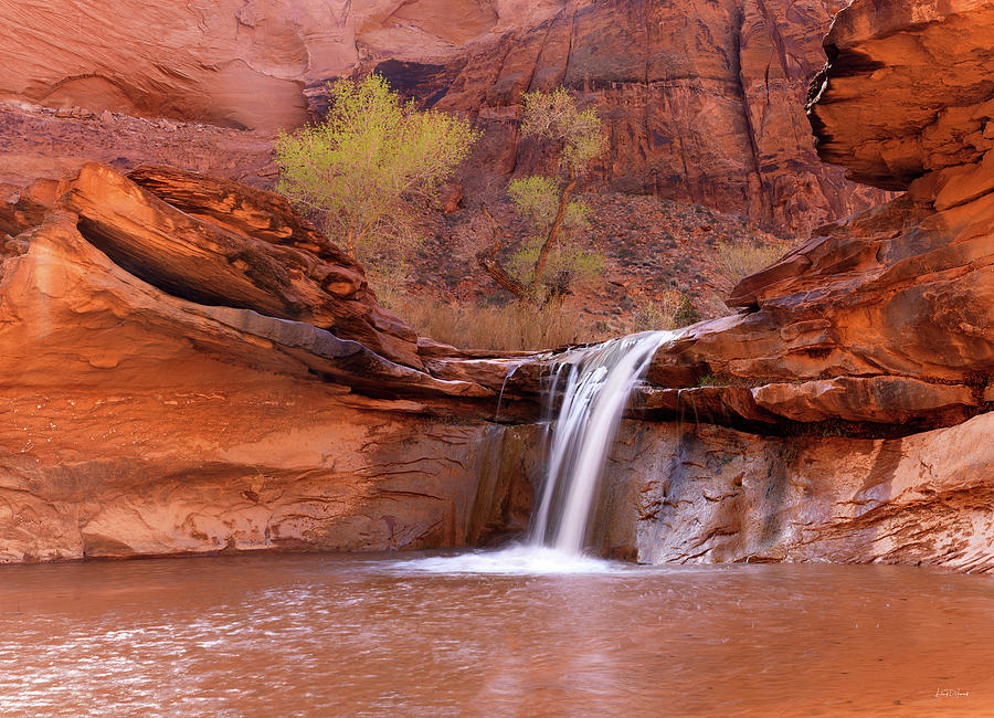 Coyote Gulch Waterfall Photograph by Leland D Howard