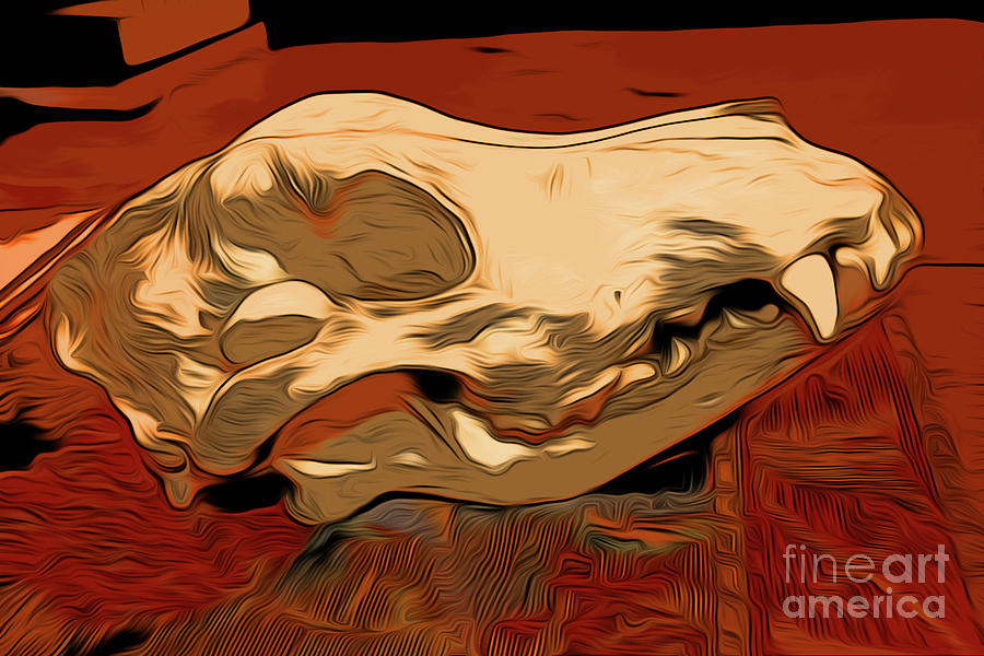 Coyote Skull 4 Digital Art by Chris Taggart - Fine Art America