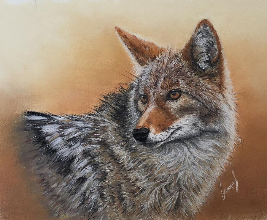 Coyote Painting by Susana Serrano - Fine Art America