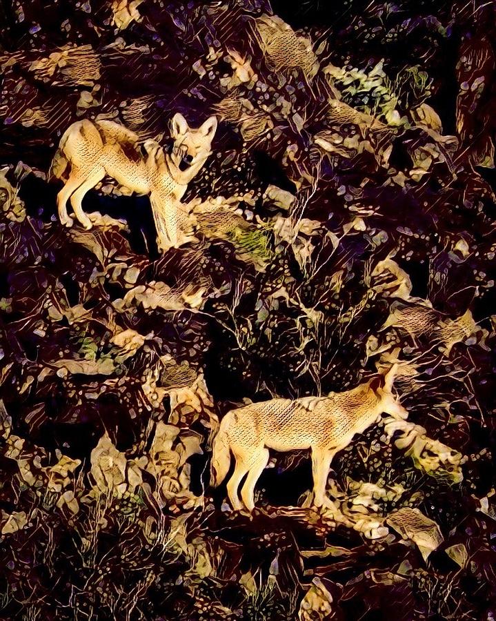 Coyotes on Hillside Photograph by Judy Kennedy
