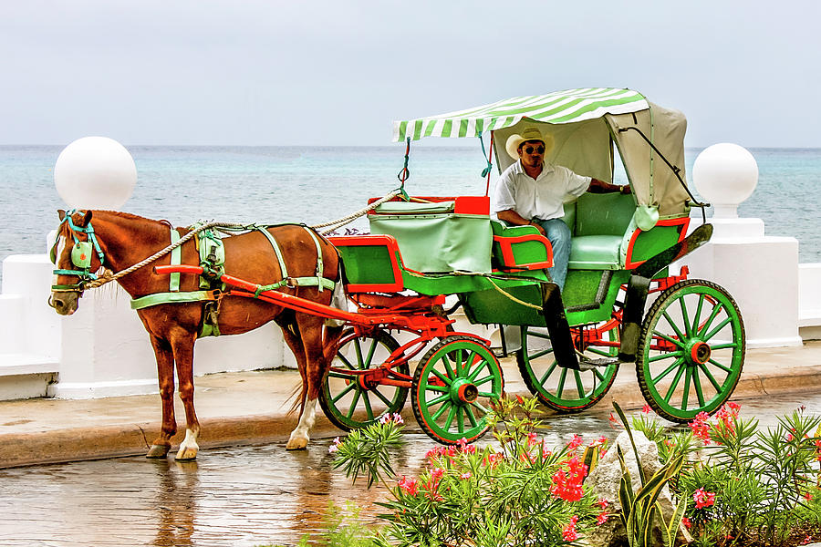 Cozumel Carriage Awaits Photograph by Pheasant Run Gallery
