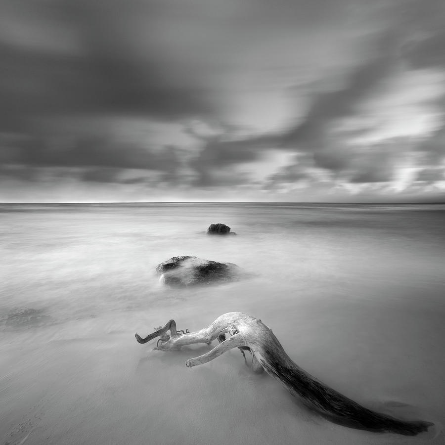 Black And White Photograph - Cozumel Zen by Moises Levy