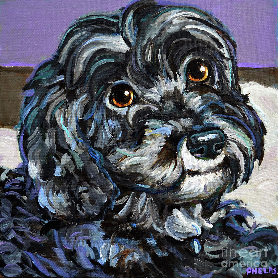 Dog Painting - Cozy Black Schnoodle by Robert Phelps