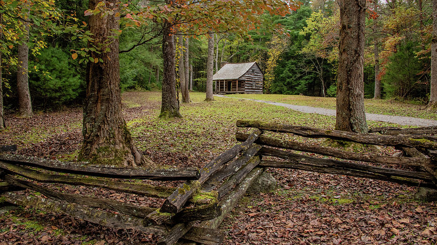 Cozy Cabin In The Woods Photograph By Marcy Wielfaert