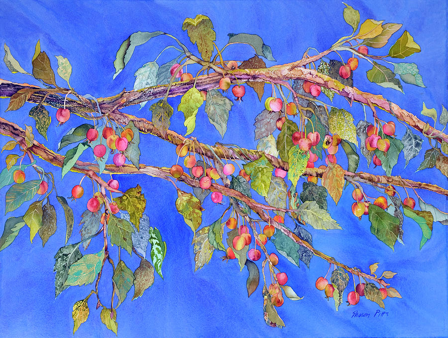 Crab Apple Iii Painting By Sharon Pitts