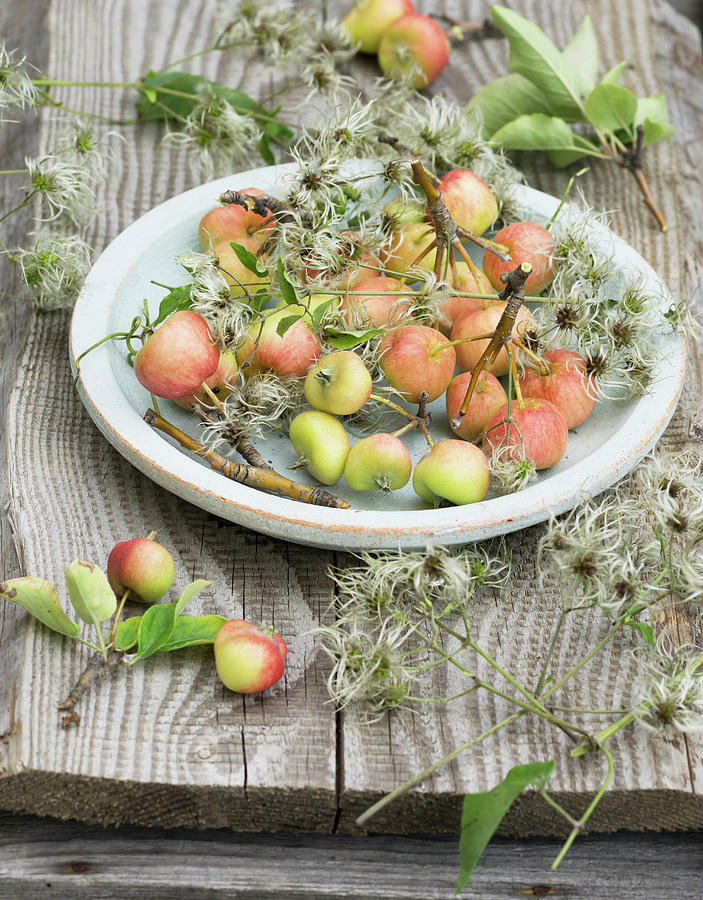 Crab Apples And Clematis Seed Heads On Plate On Garden Table Photograph by Martina Schindler