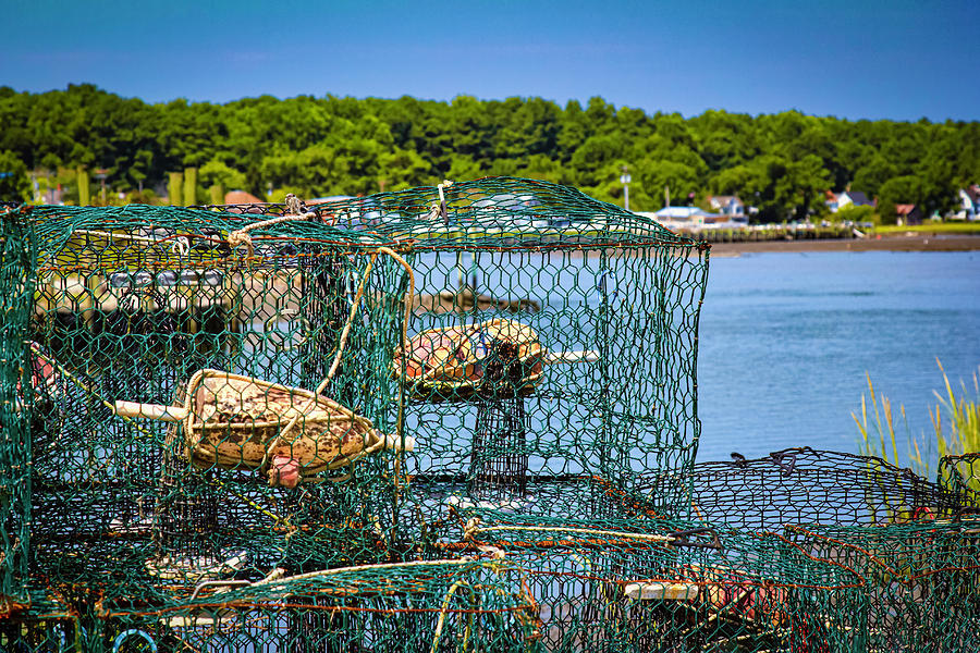 Crab by Pete Federico Crab by Pete Federico